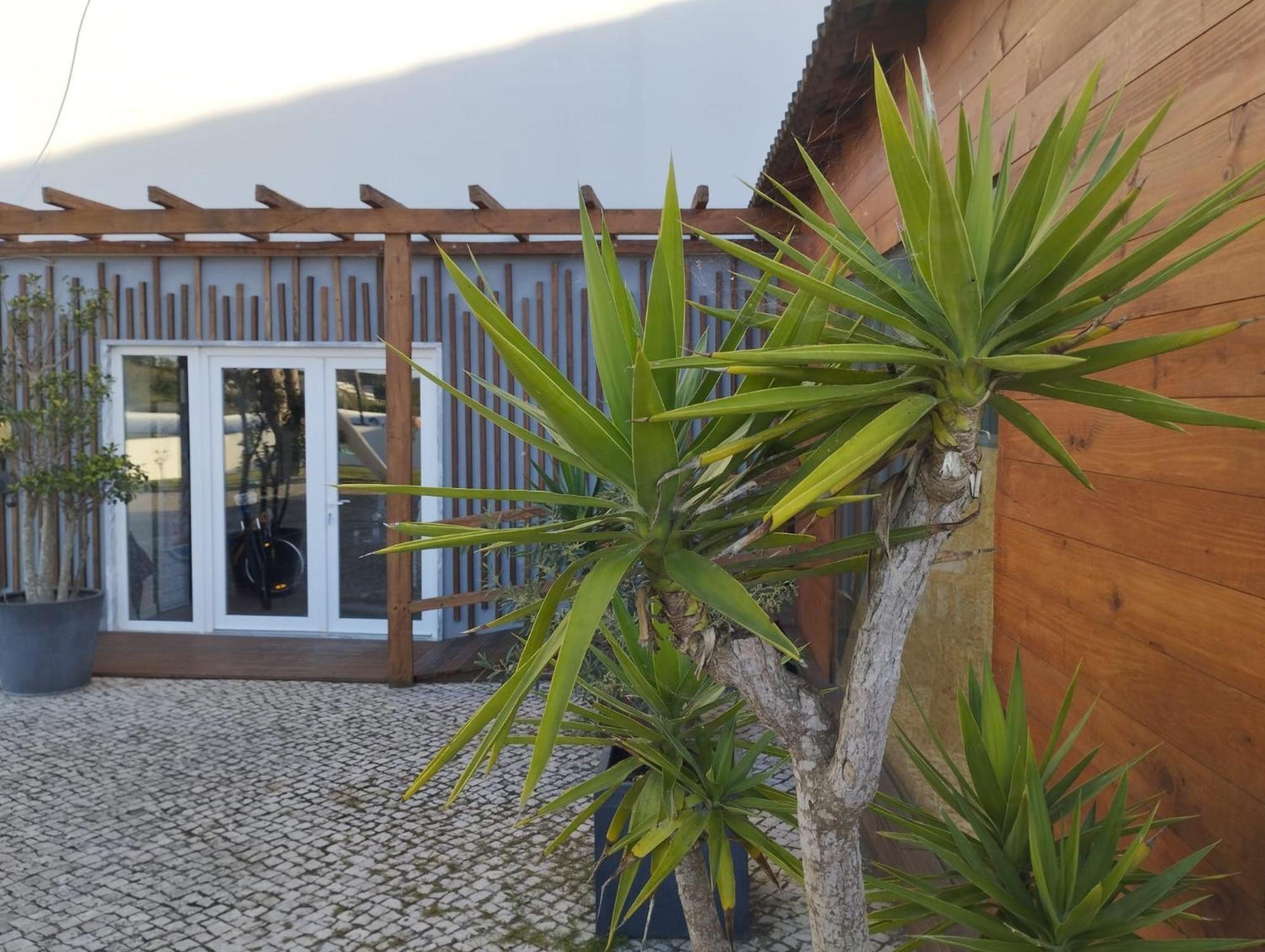 Furnaka Eco Village Lourinhã Rom bilde